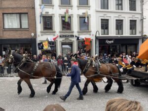 A la Cavalcade de Herve, ce sont les chevaux qui tirent les chars.