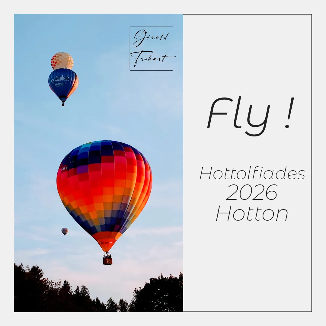 Poster-style image: left side shows colorful hot air balloons rising over trees under a blue sky; right side features a light gray panel with the word 'Fly!' and event details.